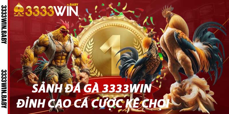Sảnh Đá Gà 3333win – Đỉnh Cao Cá Cược Kê Chọi
