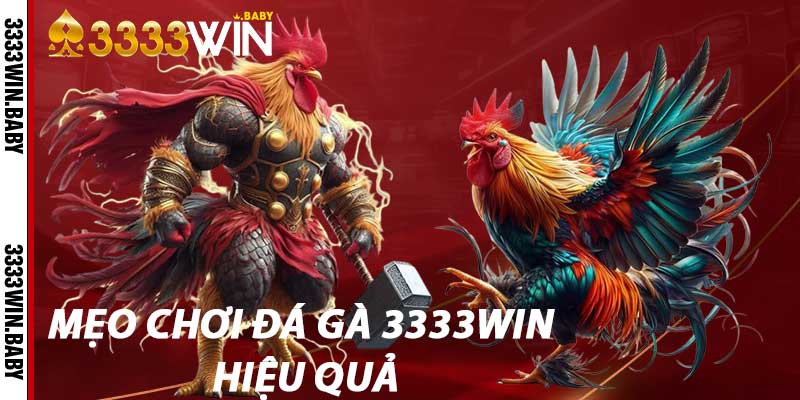 Mẹo Chơi Đá Gà 3333win Hiệu Quả